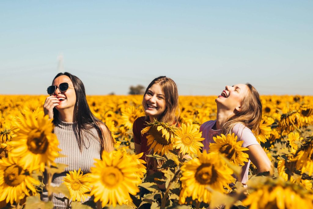 Three women laughing in a sunflower field